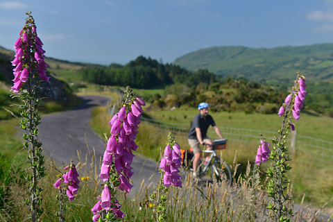 County Cork