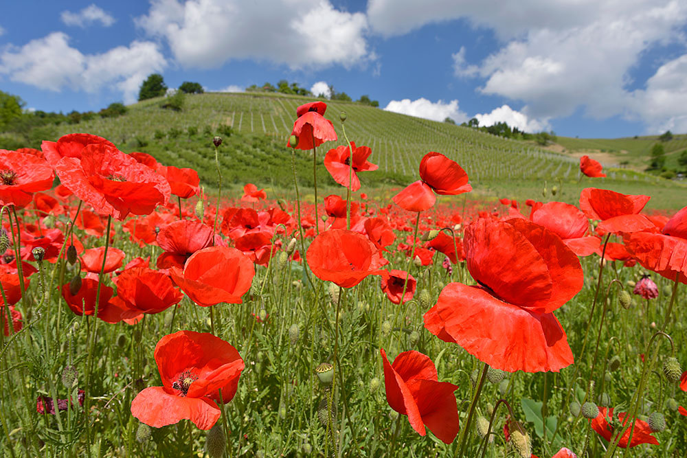 Piemont und Ligurien