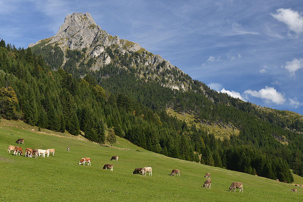 Radrunde Allgäu