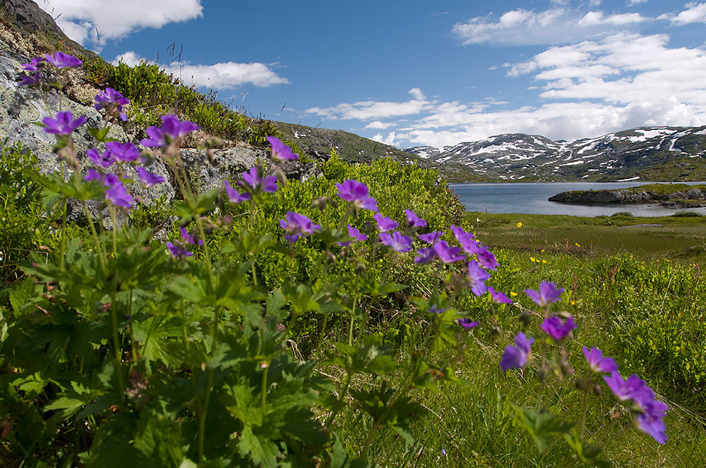 Norwegen Fahrradreise 2003