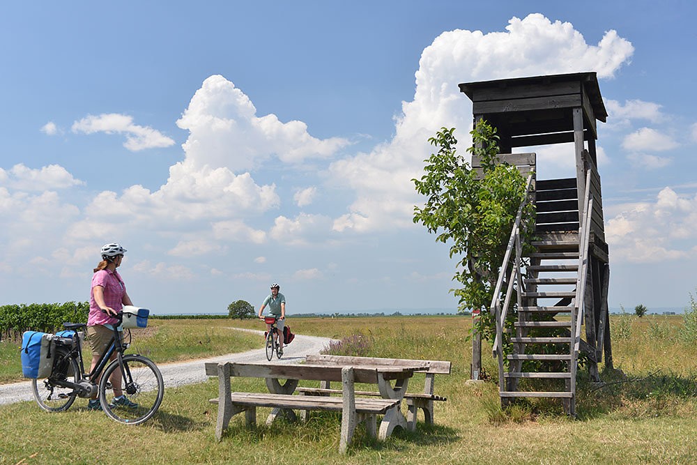 Neusiedler See Rundfahrt