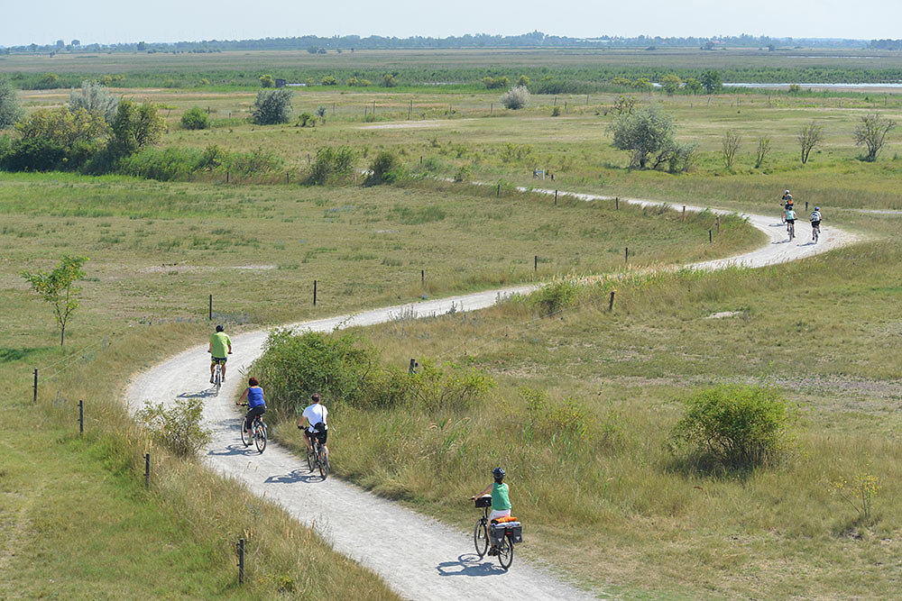 Neusiedler See Rundfahrt