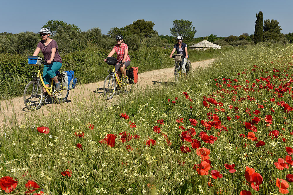 radtour-kroatien.JPG