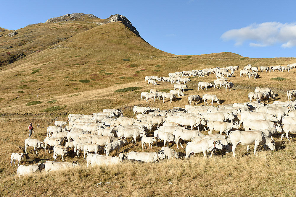 Alpen-Piemont.jpg