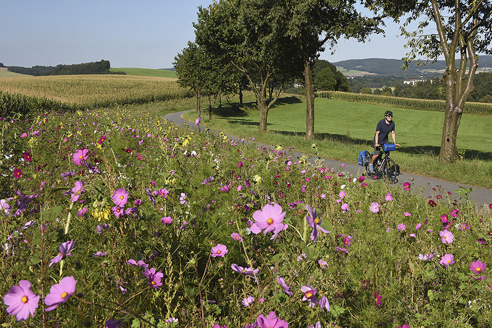 Radweg-Sachsen.jpg