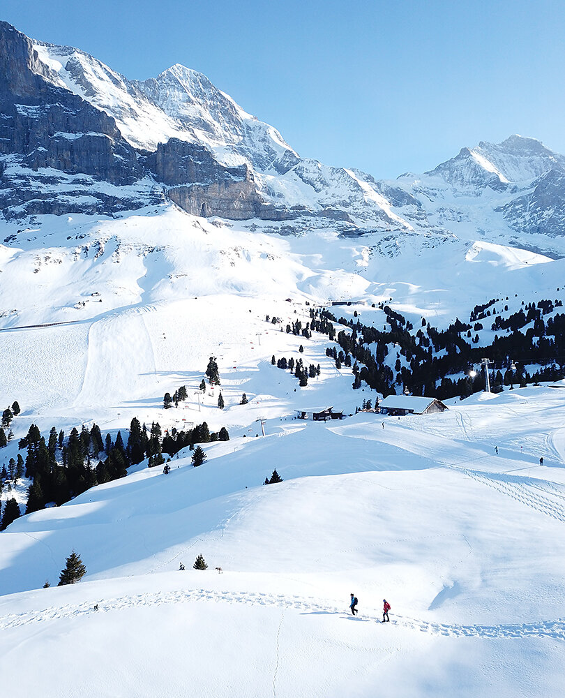 Grindelwald-Winterwandern.jpg