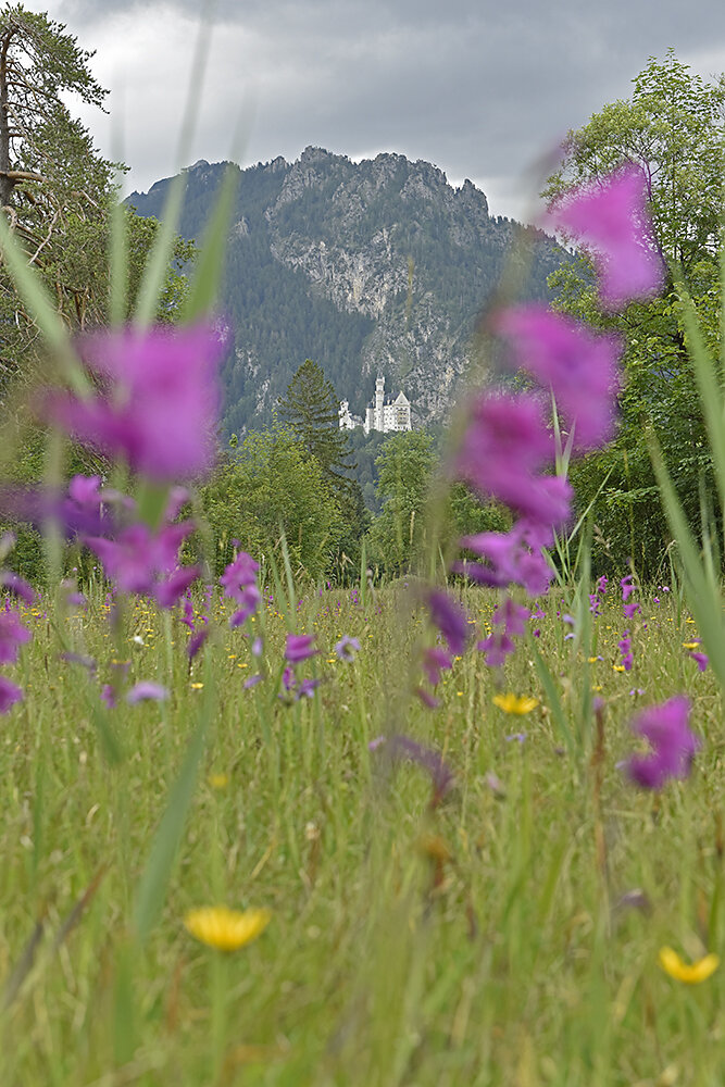 Schloss-Neuschwanstein.JPG